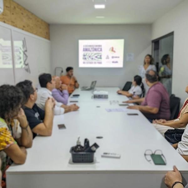 Projeto Asas